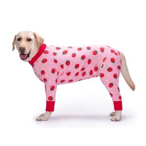 Small Dog Recovery Suit